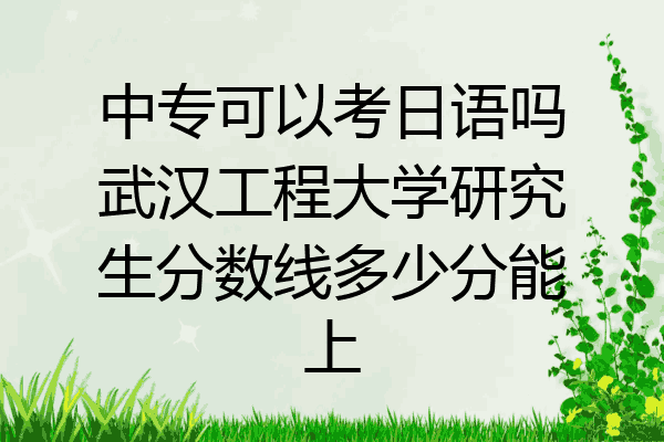 中专可以考日语吗武汉工程大学研究生分数线多少分能上
