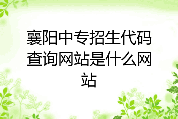 襄阳中专招生代码查询网站是什么网站