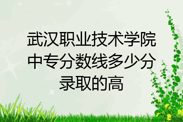 武汉职业技术学院中专分数线多少分录取的高