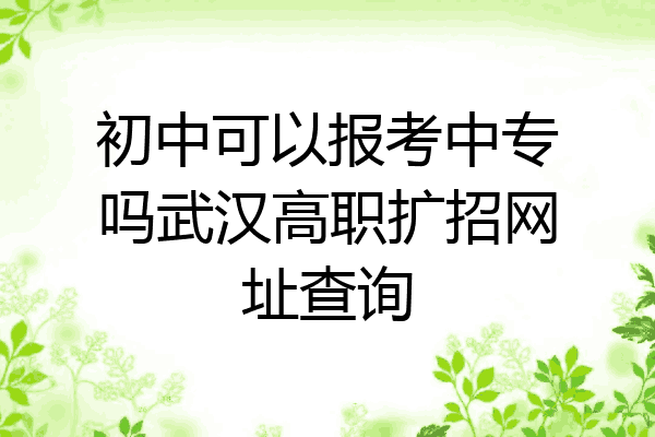 初中可以报考中专吗武汉高职扩招网址查询