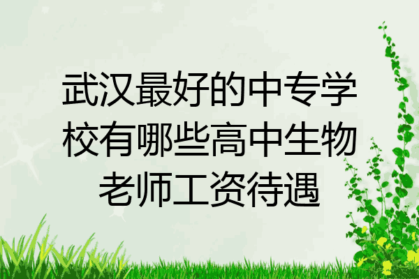 武汉最好的中专学校有哪些高中生物老师工资待遇
