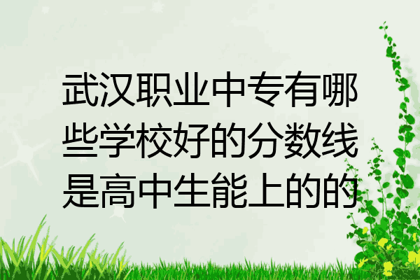武汉职业中专有哪些学校好的分数线是高中生能上的的