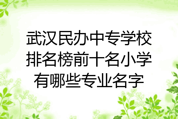 武汉民办中专学校排名榜前十名小学有哪些专业名字