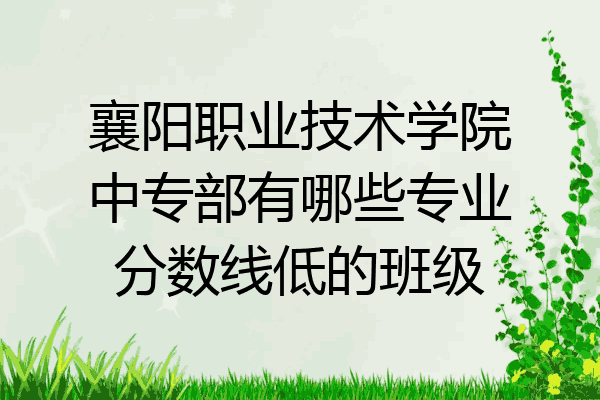 襄阳职业技术学院中专部有哪些专业分数线低的班级