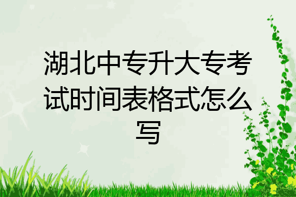 湖北中专升大专考试时间表格式怎么写