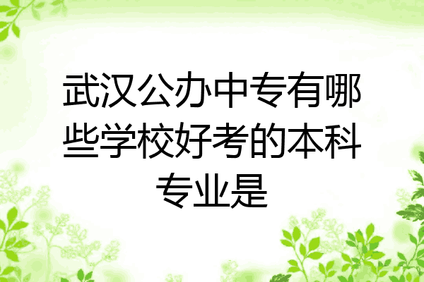 武汉公办中专有哪些学校好考的本科专业是