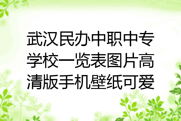 武汉民办中职中专学校一览表图片高清版手机壁纸可爱