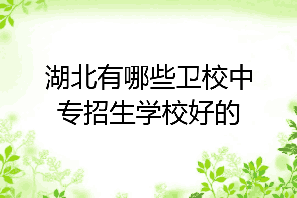 湖北有哪些卫校中专招生学校好的