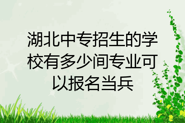 湖北中专招生的学校有多少间专业可以报名当兵