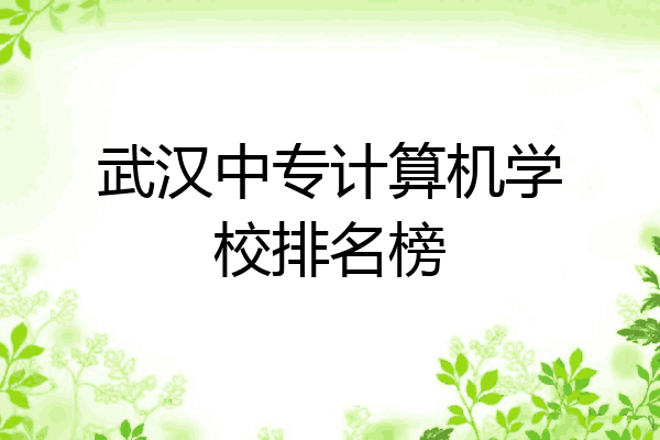 武汉中专计算机学校排名榜