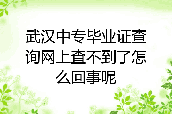 武汉中专毕业证查询网上查不到了怎么回事呢