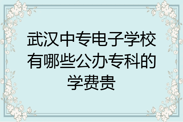 武汉中专电子学校有哪些公办专科的学费贵
