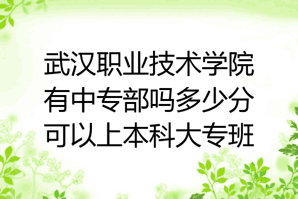 武汉职业技术学院有中专部吗多少分可以上本科大专班