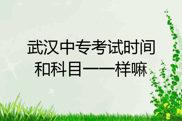 武汉中专考试时间和科目一一样嘛