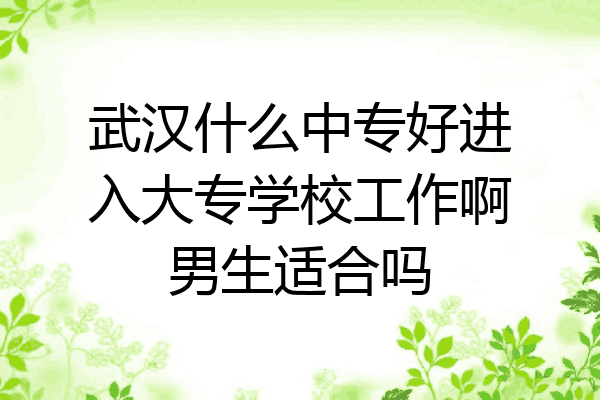 武汉什么中专好进入大专学校工作啊男生适合吗