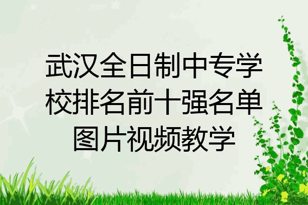 武汉全日制中专学校排名前十强名单图片视频教学