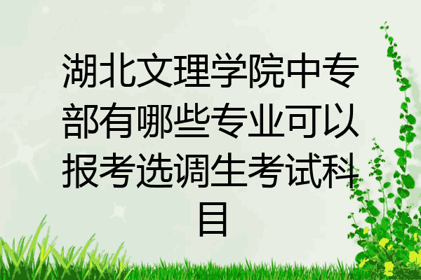 湖北文理学院中专部有哪些专业可以报考选调生考试科目