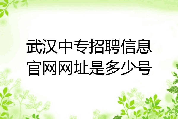 武汉中专招聘信息官网网址是多少号