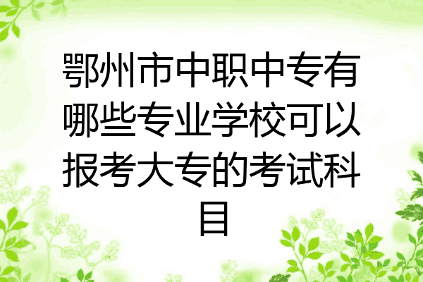鄂州市中职中专有哪些专业学校可以报考大专的考试科目