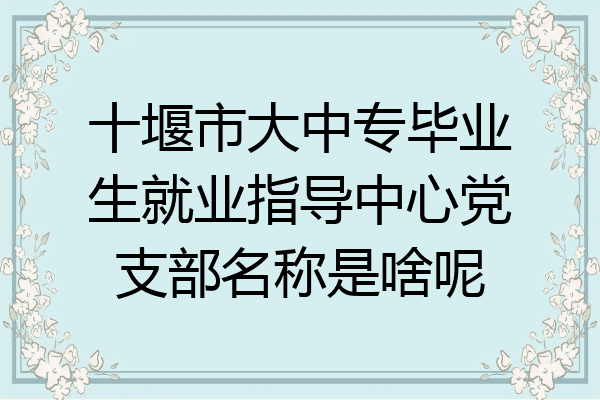 十堰市大中专毕业生就业指导中心党支部名称是啥呢