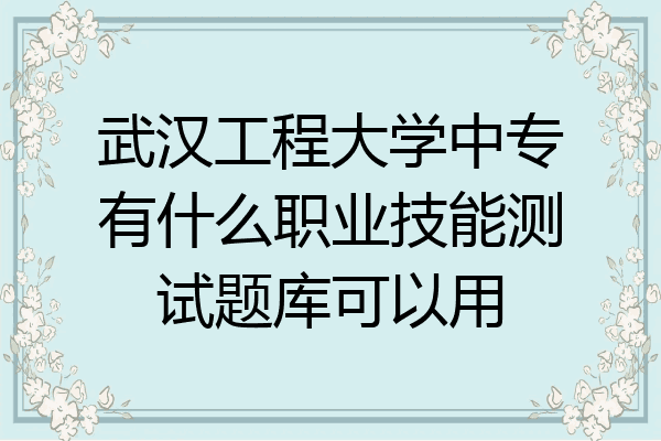 武汉工程大学中专有什么职业技能测试题库可以用