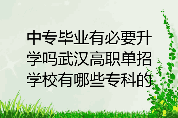 中专毕业有必要升学吗武汉高职单招学校有哪些专科的