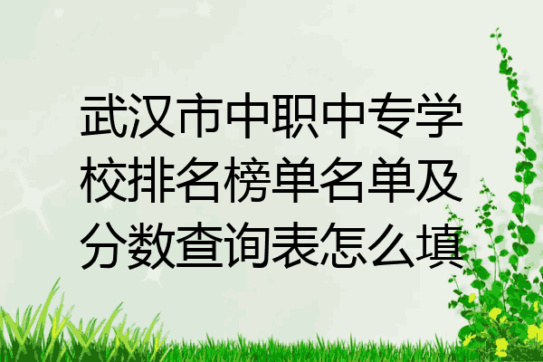 武汉市中职中专学校排名榜单名单及分数查询表怎么填