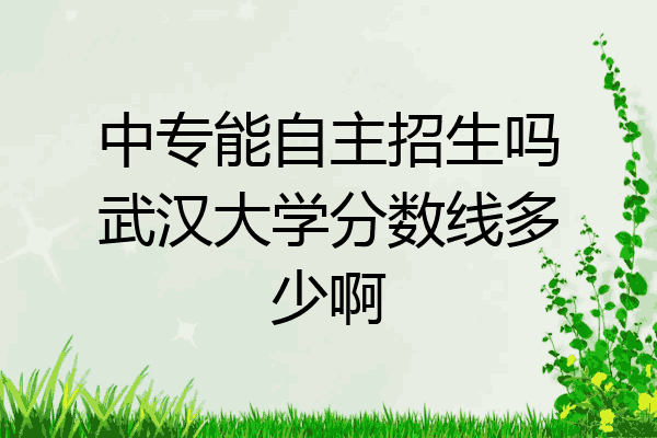 中专能自主招生吗武汉大学分数线多少啊