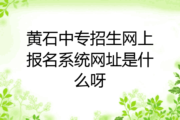黄石中专招生网上报名系统网址是什么呀
