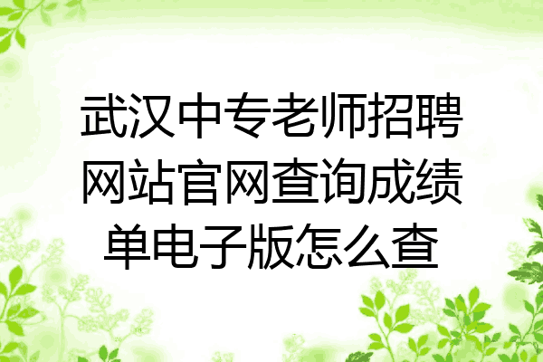 武汉中专老师招聘网站官网查询成绩单电子版怎么查