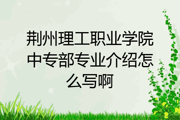 荆州理工职业学院中专部专业介绍怎么写啊