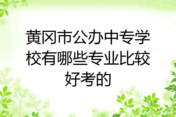 黄冈市公办中专学校有哪些专业比较好考的