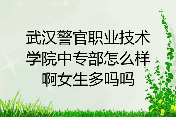 武汉警官职业技术学院中专部怎么样啊女生多吗吗