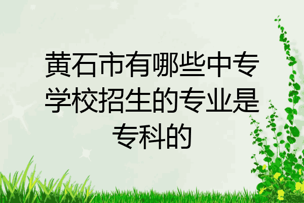 黄石市有哪些中专学校招生的专业是专科的
