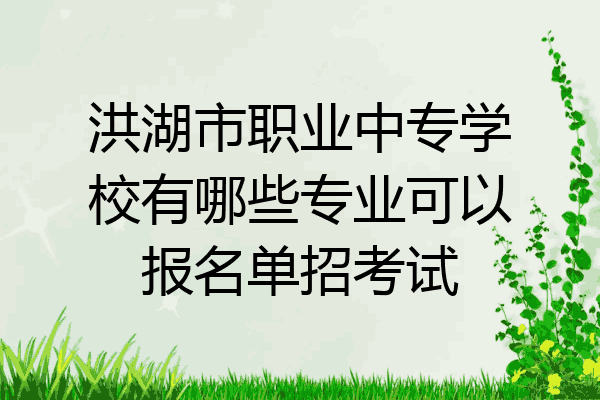 洪湖市职业中专学校有哪些专业可以报名单招考试