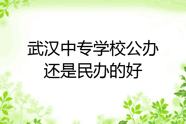 武汉中专学校公办还是民办的好