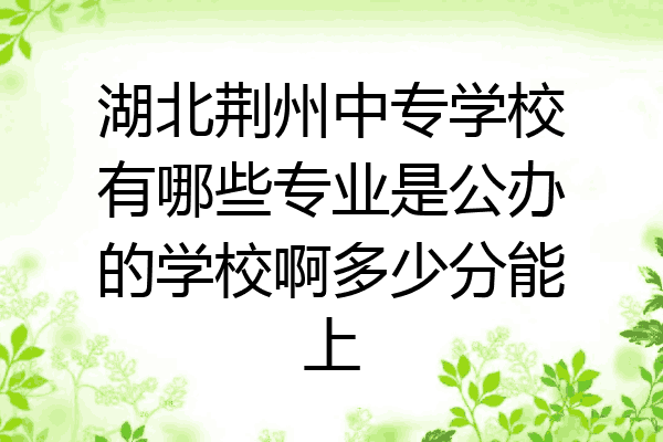 湖北荆州中专学校有哪些专业是公办的学校啊多少分能上