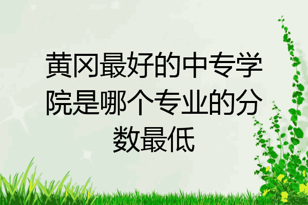 黄冈最好的中专学院是哪个专业的分数最低