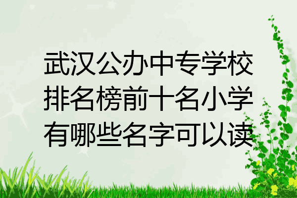 武汉公办中专学校排名榜前十名小学有哪些名字可以读