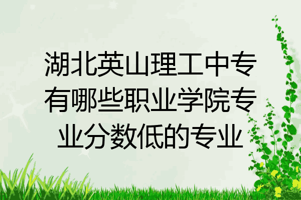 湖北英山理工中专有哪些职业学院专业分数低的专业