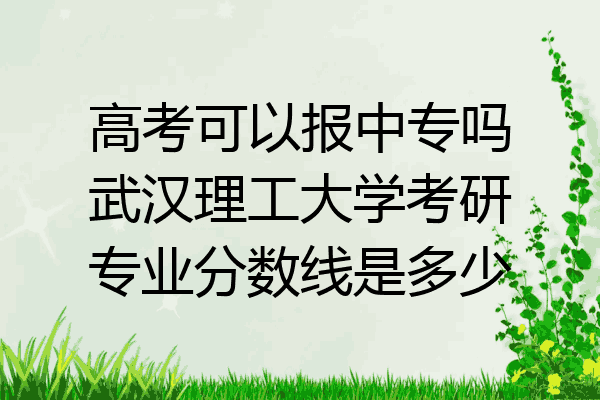 高考可以报中专吗武汉理工大学考研专业分数线是多少