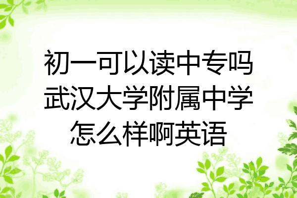 初一可以读中专吗武汉大学附属中学怎么样啊英语