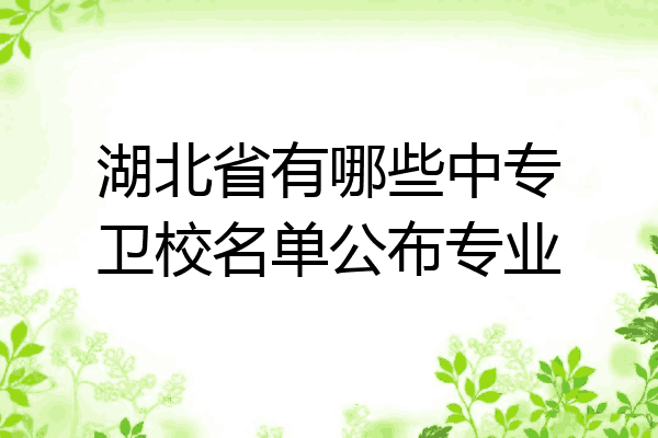 湖北省有哪些中专卫校名单公布专业