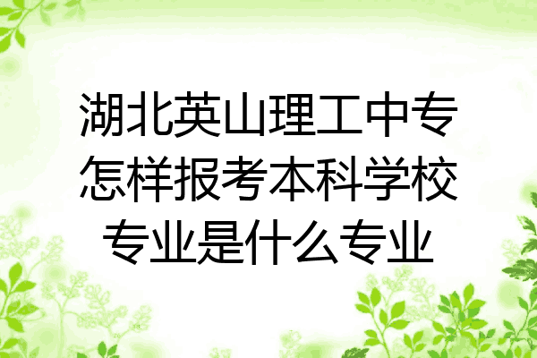 湖北英山理工中专怎样报考本科学校专业是什么专业
