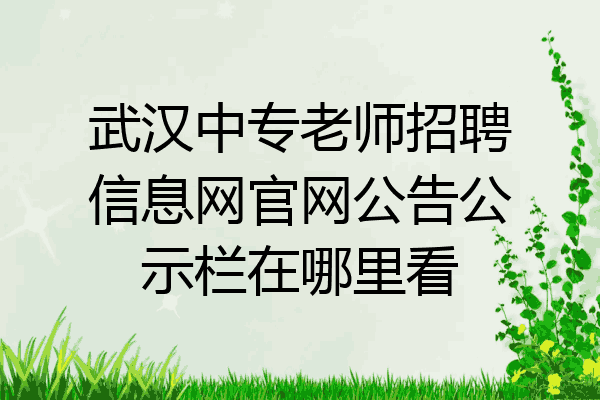 武汉中专老师招聘信息网官网公告公示栏在哪里看