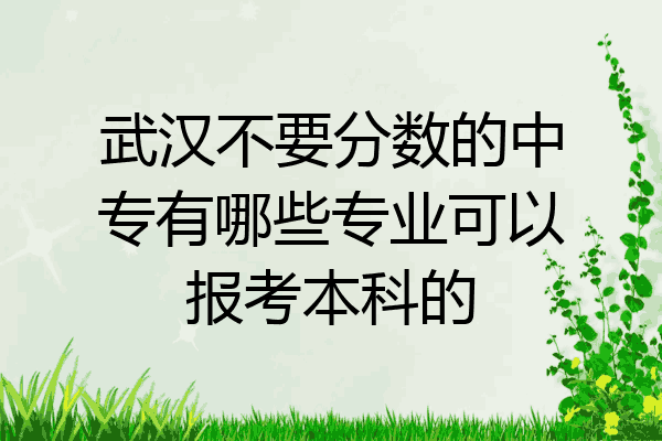 武汉不要分数的中专有哪些专业可以报考本科的