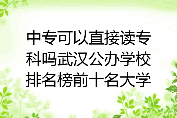 中专可以直接读专科吗武汉公办学校排名榜前十名大学