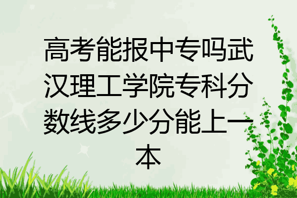 高考能报中专吗武汉理工学院专科分数线多少分能上一本