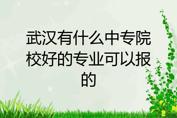 武汉有什么中专院校好的专业可以报的