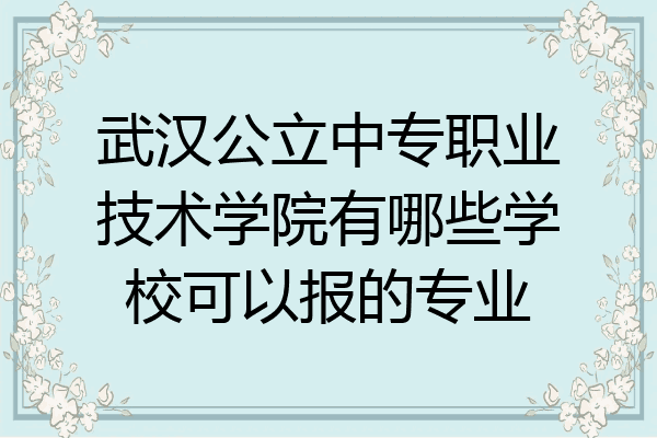 武汉公立中专职业技术学院有哪些学校可以报的专业